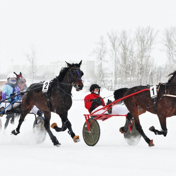 Выходные в Тамбове: афиша мероприятий для всей семьи