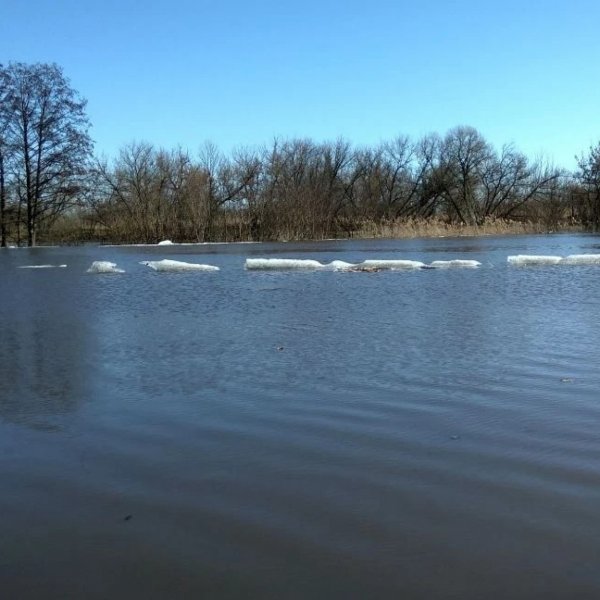 В Тамбовской области усилили контроль за безопасностью детей на водоёмах