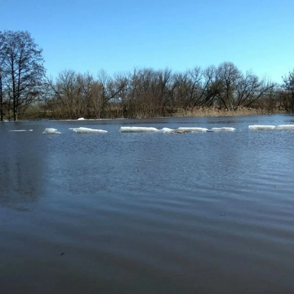 В Тамбовской области усилили контроль за безопасностью детей на водоёмах