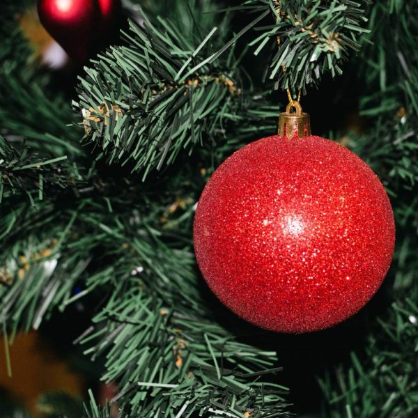 В детском лагере &laquo;Солнечный&raquo; завершилась новогодняя программа