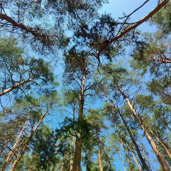 4 смена - Твоя новая высота