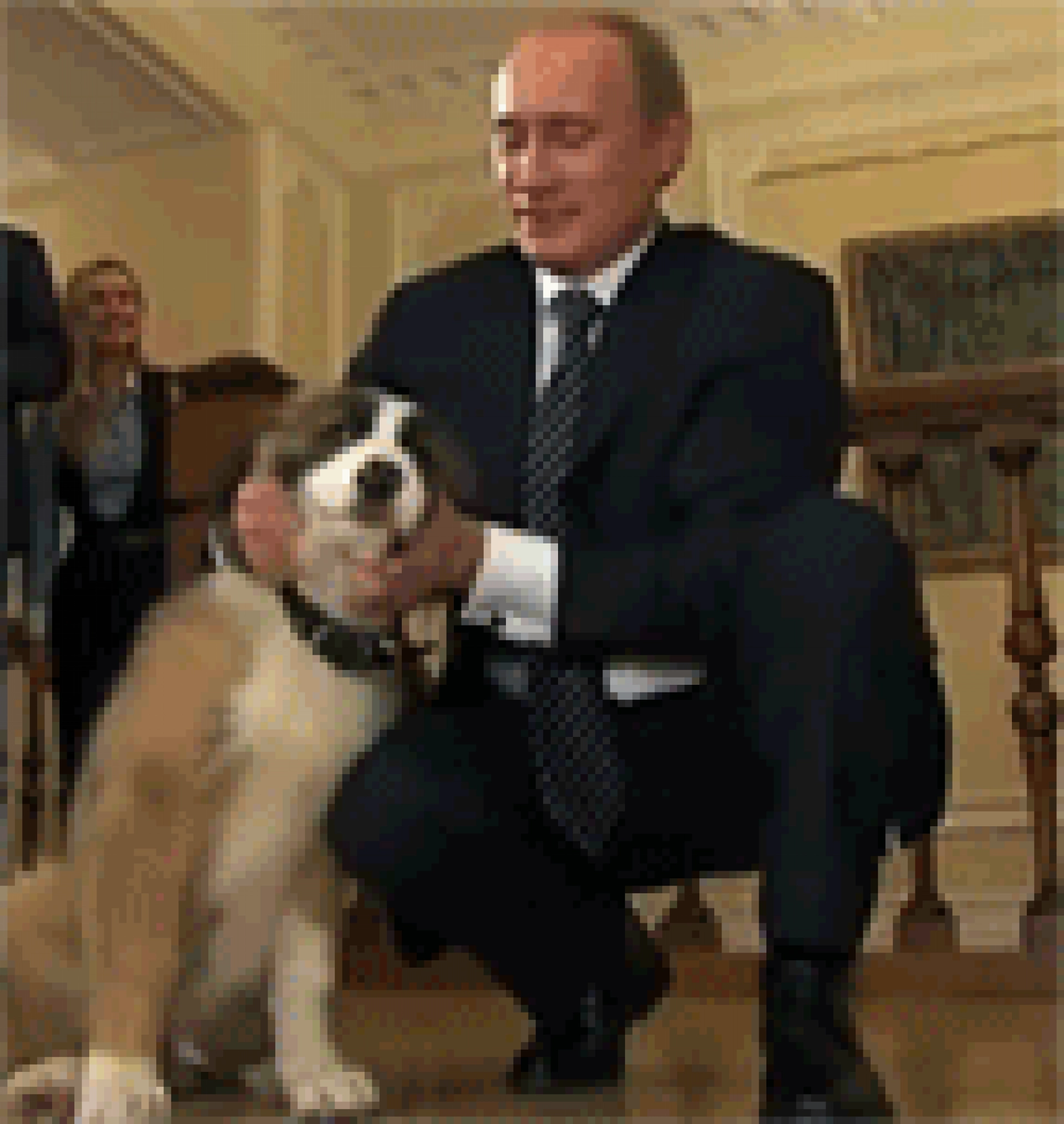 Изображение для Следующее изображение
