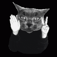 Робот Федор