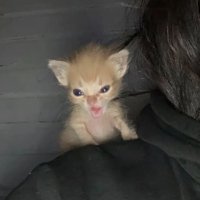 Елизавета Кузьмищева